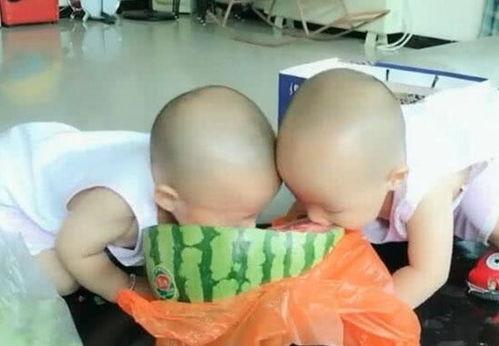 双胞胎姐妹吃瓜爆料,一场吃瓜爆料的狂欢